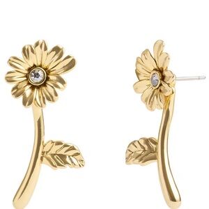 Coach Crystal Flower Daisy Stud Earring NWT